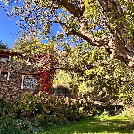 La Casa Del Nogal Villa Guejar Sierra Exterior photo