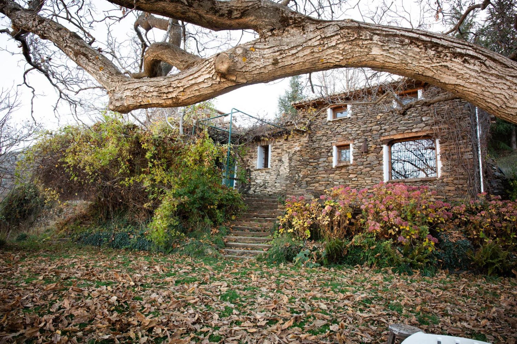 La Casa Del Nogal Villa Guejar Sierra Exterior photo